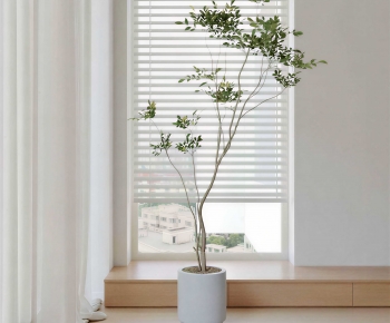 Modern Ground Green Plant Potted Plants-ID:434959893