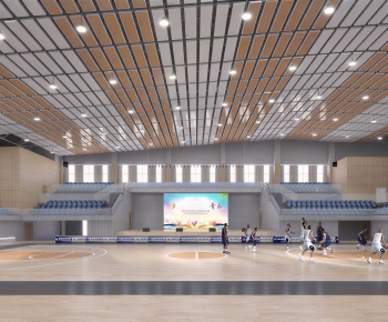Modern Basketball Arena-ID:374845036