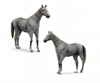 Modern Animal Horse-ID:753729106