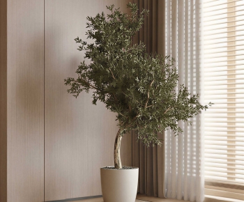 Modern Ground Green Plant Potted Plants-ID:187758927