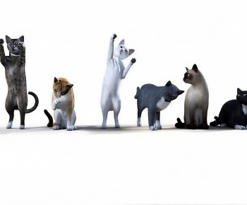 Modern Animal Cat-ID:852547884