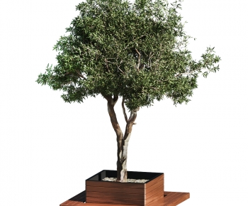 Modern Tree Pool-ID:584448108