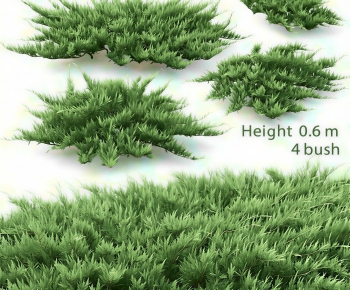 Modern Shrubbery-ID:822993999