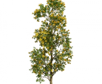 Modern Tree-ID:823666108