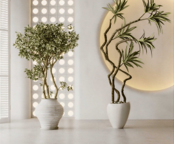 Modern Ground Green Plant Potted Plants-ID:594552043