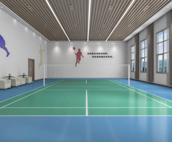 Modern Indoor Badminton Court-ID:671930372