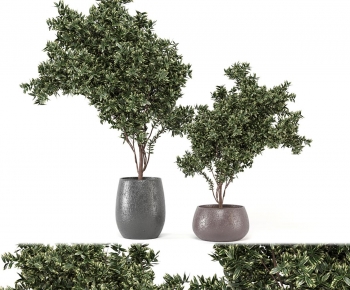 Modern Ground Green Plant Potted Plants-ID:172283893
