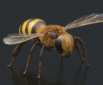 Modern Flying Animals-ID:775468113