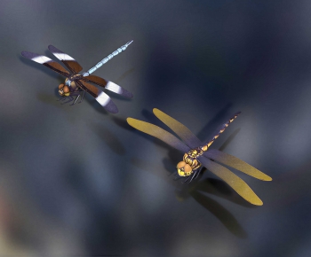 Modern Flying Animals-ID:684030062