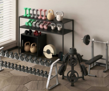 Modern Fitness Equipment-ID:263481166