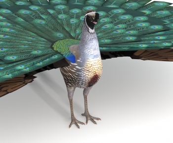 Modern Animal-ID:831831933