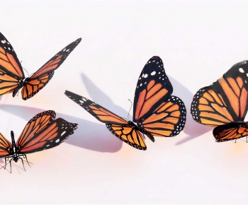 Modern Animal-ID:580591928