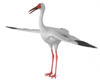 Modern Flying Animals-ID:580893997