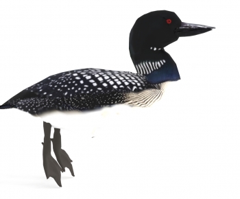 Modern Flying Animals-ID:862212909