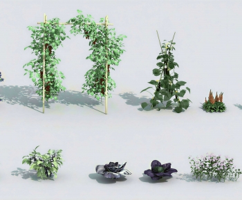 Modern Flowers And Grass-ID:255809072