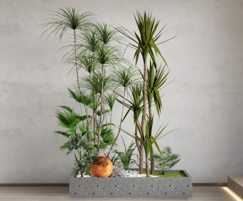 Modern Plant Landscaping-ID:114141943