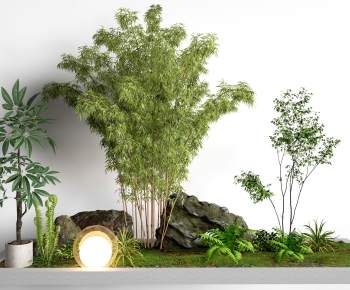 Modern Plant Landscaping-ID:554847001