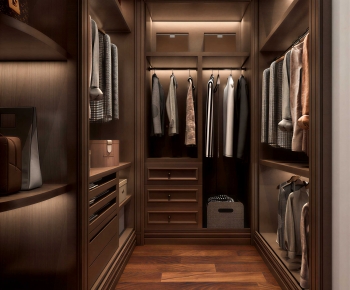 Modern Clothes Storage Area-ID:351433047