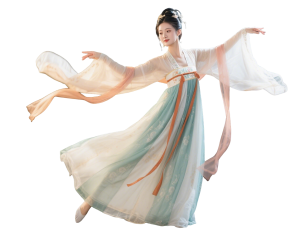 New Chinese StyleOther