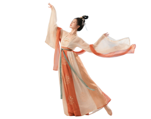 New Chinese StyleOther