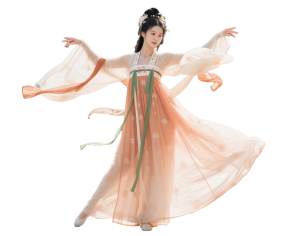 New Chinese StyleOther