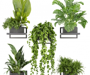 Modern Potted Green Plant-ID:655340913