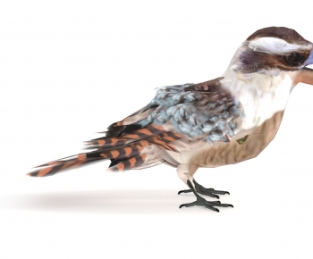 Modern Flying Animals-ID:243618014