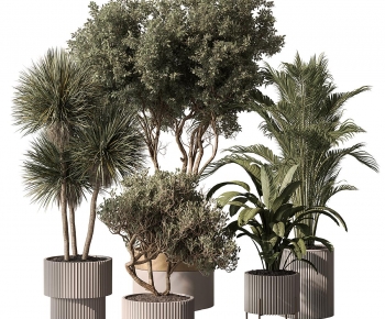 Modern Ground Green Plant Potted Plants-ID:233237035