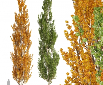 Modern Tree-ID:935142992