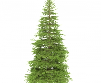 Modern Tree-ID:413214927