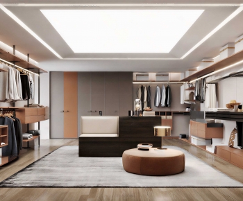Modern Clothes Storage Area-ID:333653931