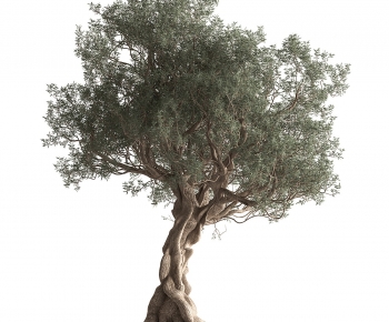 Modern Tree-ID:782397999