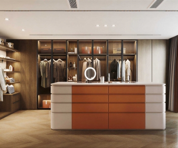 Modern Clothes Storage Area-ID:510763884