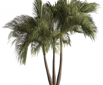 Modern Tree-ID:747020254