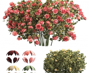 Modern Flowers And Grass-ID:986088047