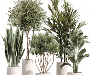 Modern Potted Green Plant-ID:927469978