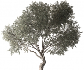 Modern Tree-ID:802764895