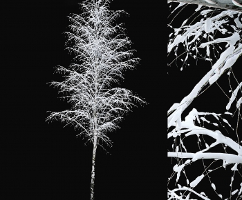 Modern Tree-ID:824551117