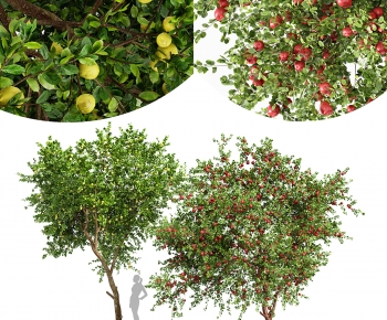 Modern Tree-ID:142109426