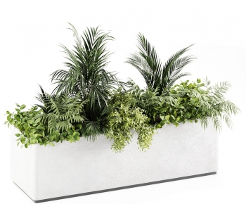 Modern Flower Bed, Flower Bowl, Flower Box-ID:554689885