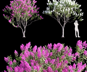 Modern Tree-ID:723578937