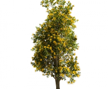 Modern Tree-ID:739521037