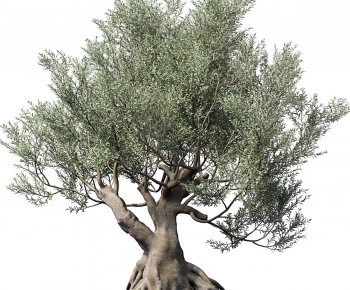 Modern Tree-ID:765547042