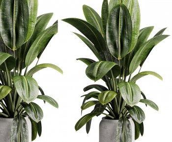 Modern Ground Green Plant Potted Plants-ID:660514125