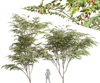 Modern Tree-ID:401940117