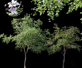 Modern Tree-ID:977788931