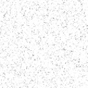 ModernBump Black And White