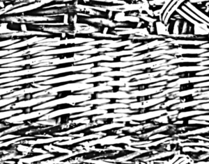 ModernBump Black And White