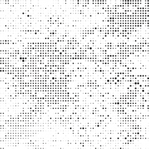 ModernBump Black And White