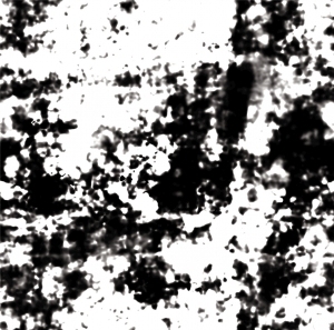 ModernBump Black And White